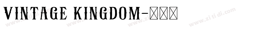 vintage kingdom字体转换